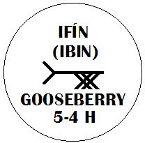 Ifin - Gooseberry Ogham